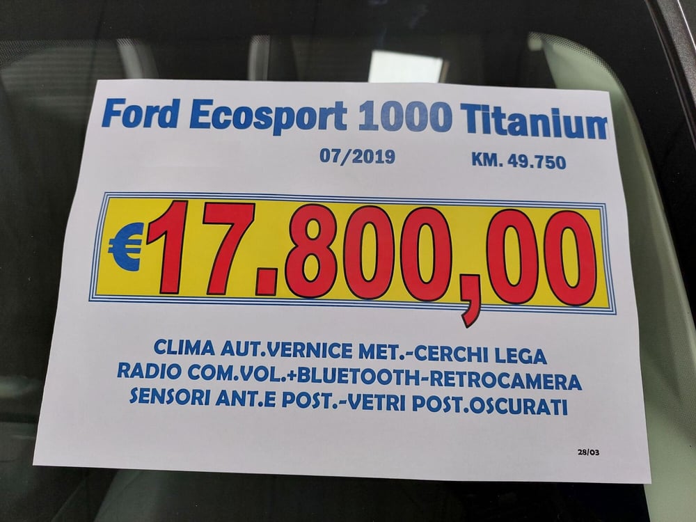 Ford EcoSport usata a Lucca (19)