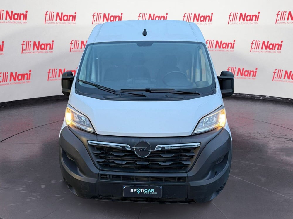 Opel Movano Furgone usata a Massa-Carrara (3)