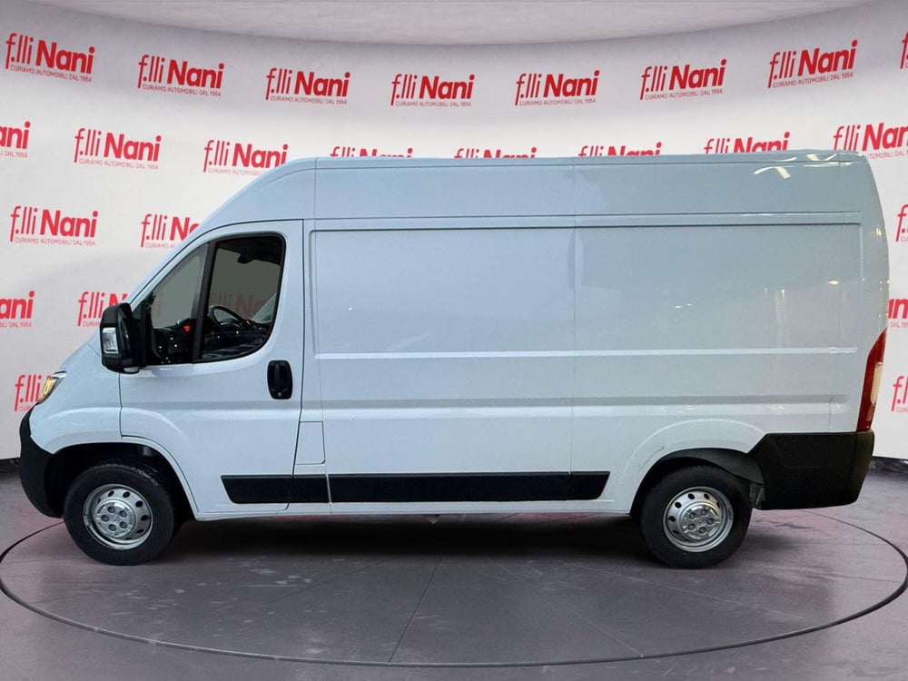 Opel Movano Furgone usata a Massa-Carrara (7)