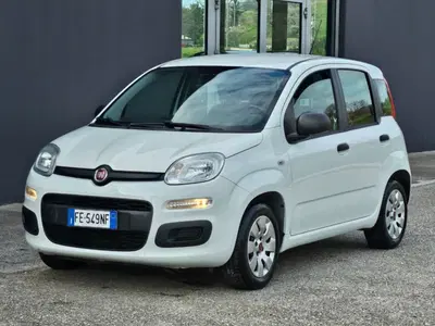Fiat Panda 1.2 EasyPower Easy del 2016 usata a Foggia