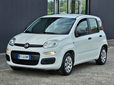 Fiat Panda 1.2 EasyPower Easy  del 2016 usata a Foggia