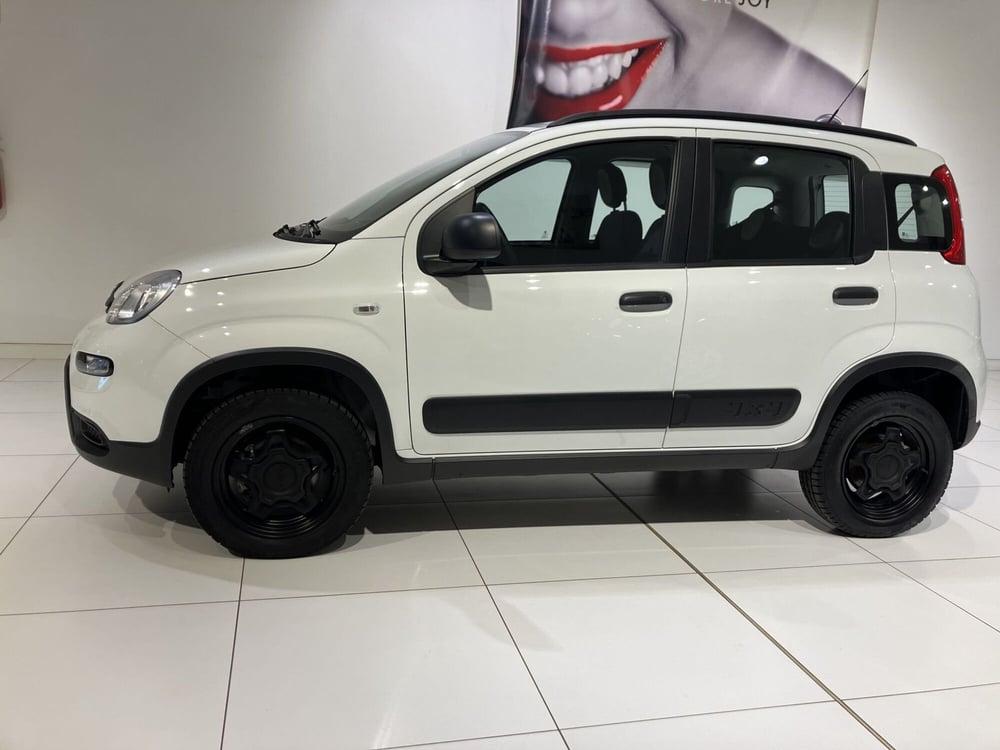 Fiat Panda usata a Parma (4)