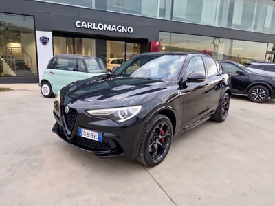 Alfa Romeo Stelvio Stelvio 2.9 Bi-Turbo V6 510 CV AT8 Quadrifoglio  del 2021 usata a Rende