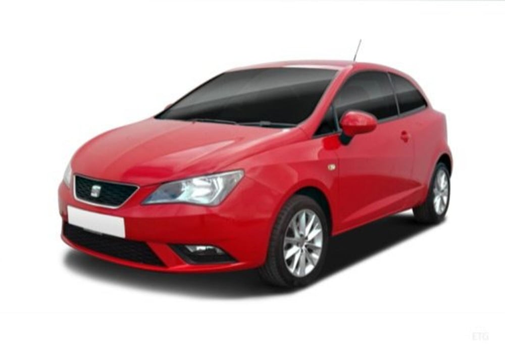 SEAT Ibiza SC usata a Cosenza (12)