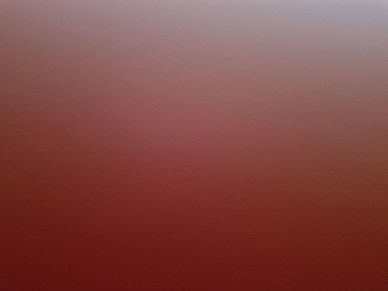 Fiat Panda usata a Cosenza (13)