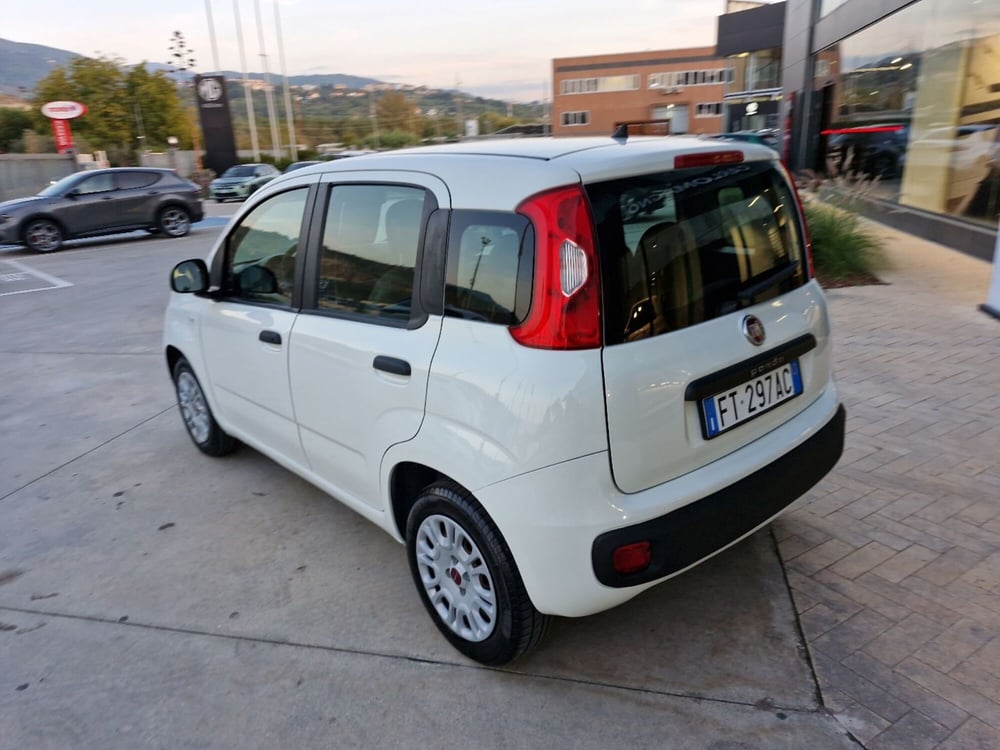 Fiat Panda usata a Cosenza (3)