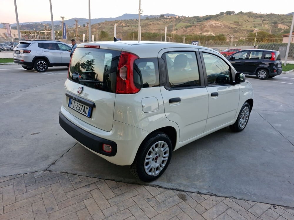 Fiat Panda usata a Cosenza (6)