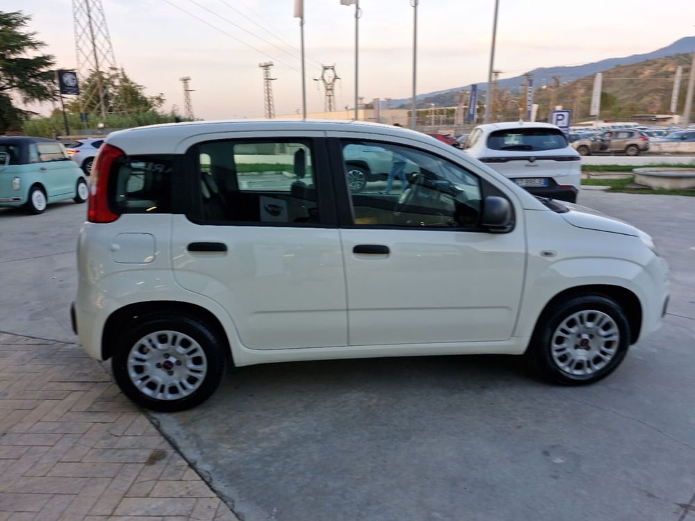 Fiat Panda usata a Cosenza (7)