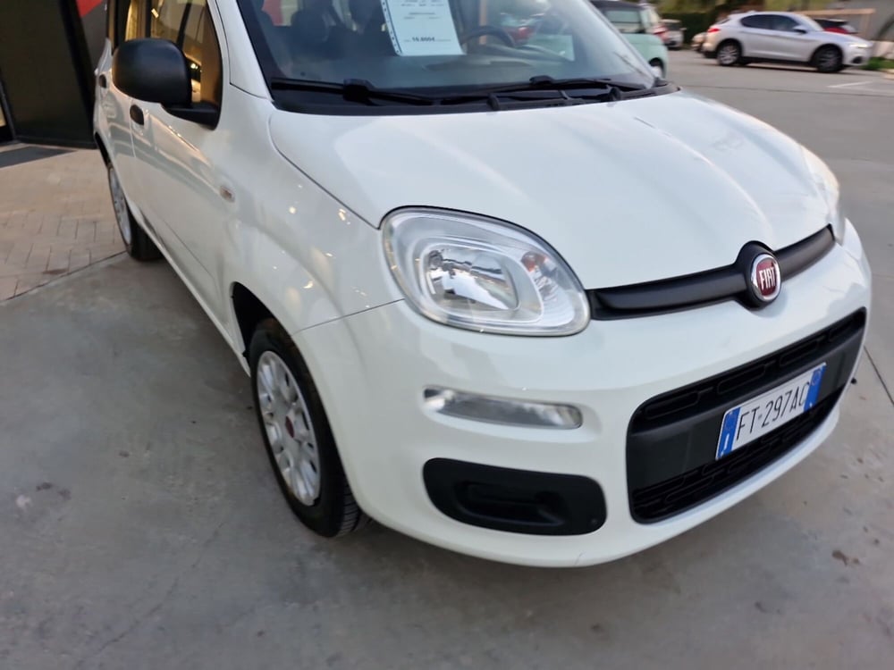 Fiat Panda usata a Cosenza (9)