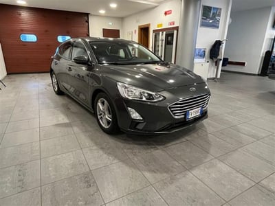 Ford Focus 1.5 EcoBlue 95 CV 5p. Plus del 2019 usata a Ivrea