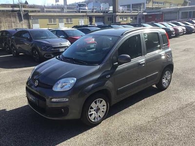 Fiat Panda 1.2 Lounge  del 2018 usata a Varese