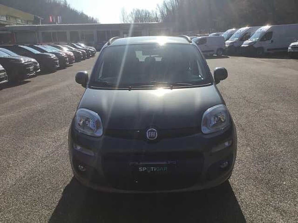 Fiat Panda usata a Varese (2)