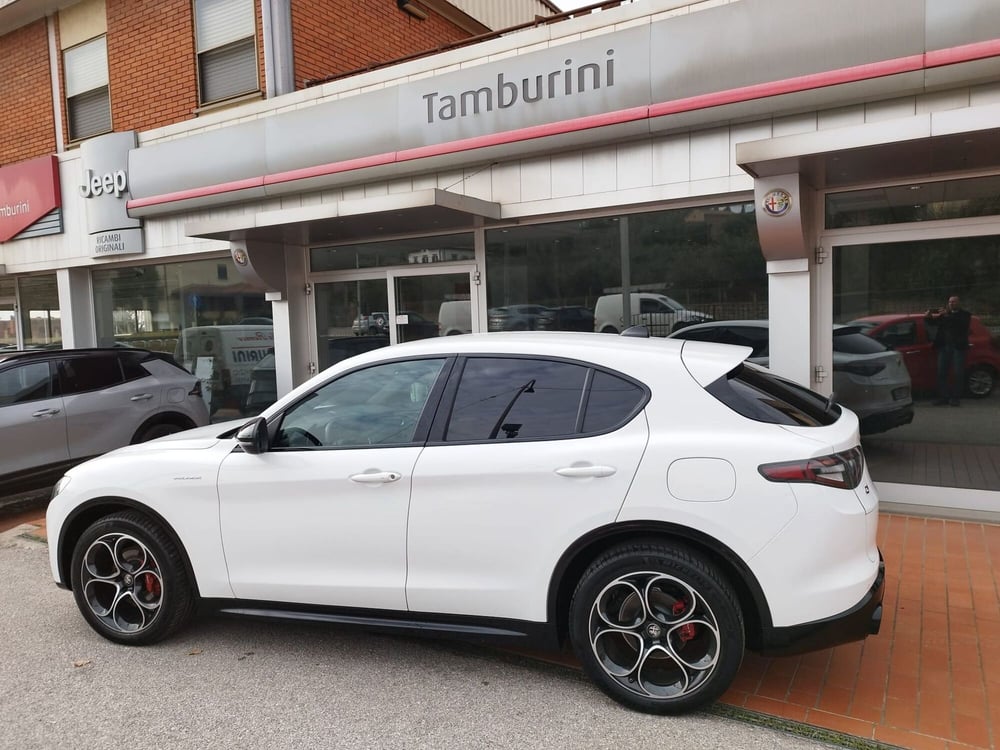 Alfa Romeo Stelvio usata a Arezzo (7)