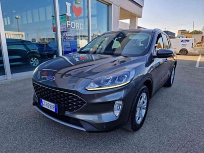 Ford Kuga 1.5 EcoBlue 120 CV aut. 2WD  del 2022 usata a Imola