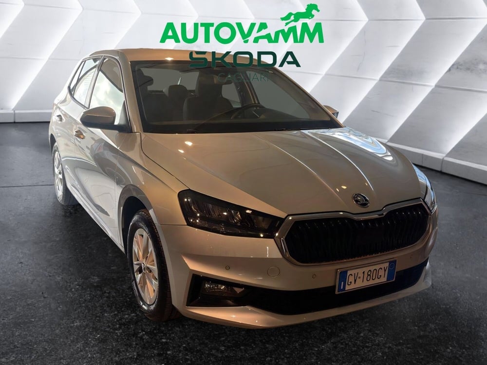 Skoda Fabia usata a Cagliari (7)