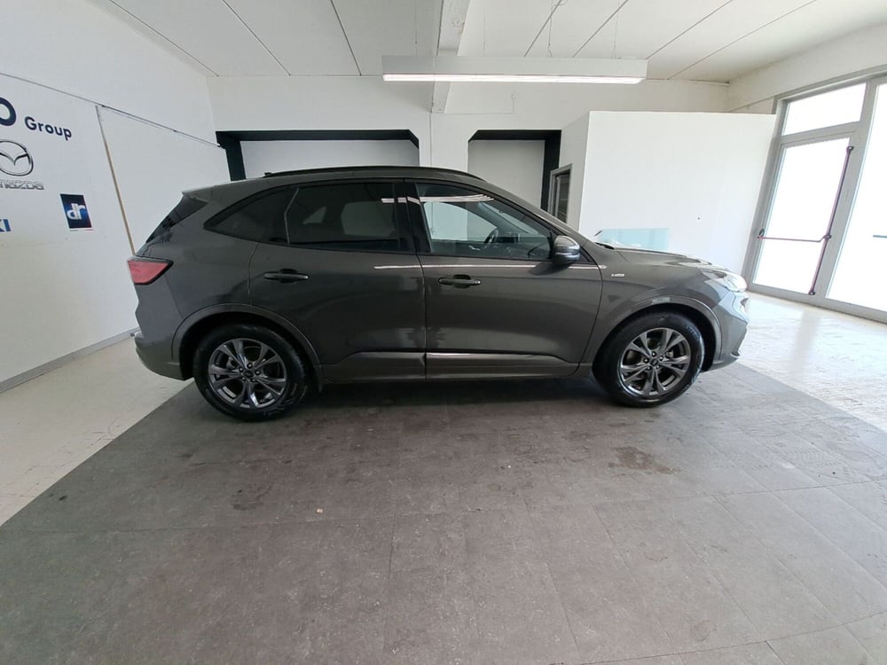 Ford Kuga usata a Arezzo (7)