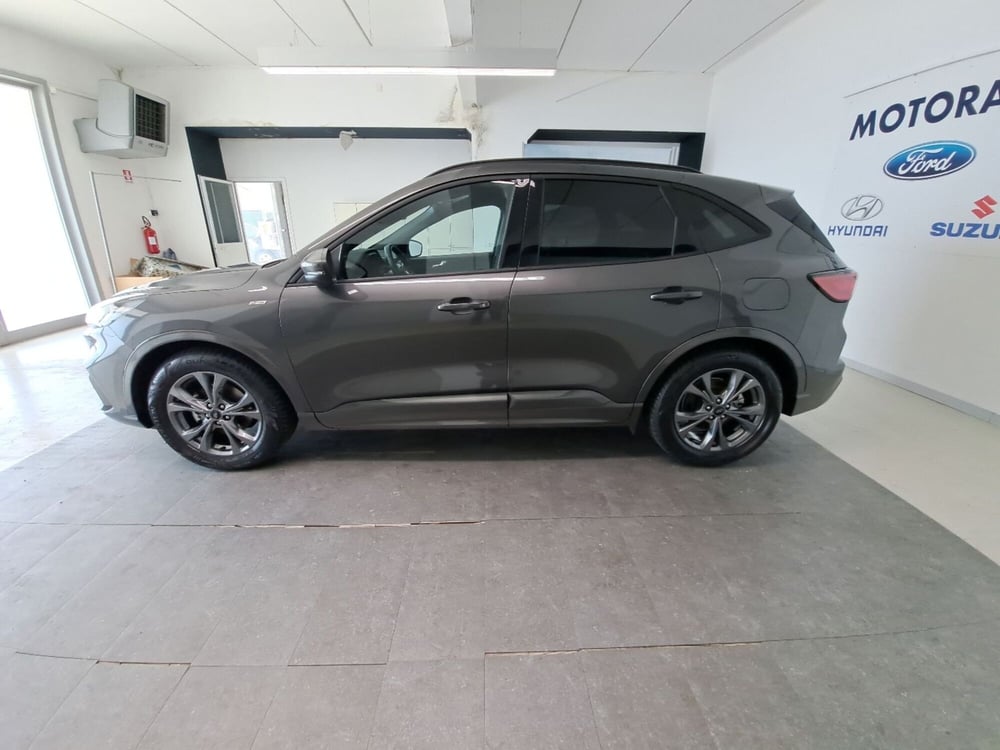 Ford Kuga usata a Arezzo (8)