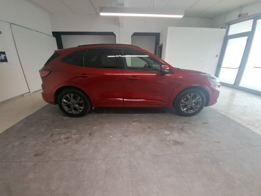 Ford Kuga usata a Arezzo (7)