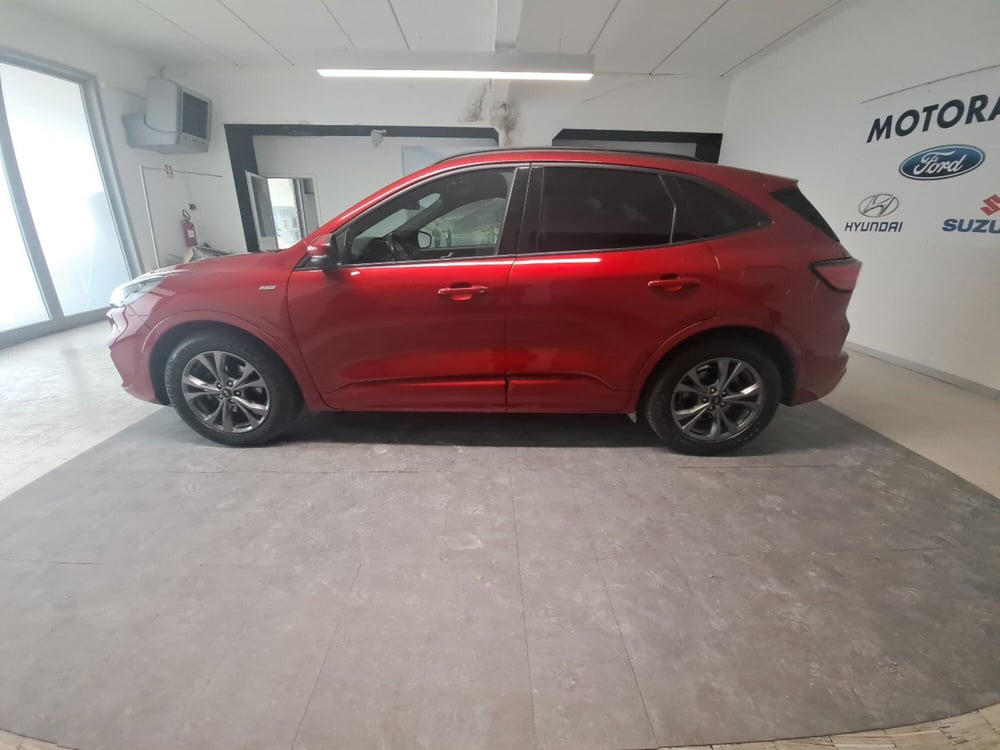 Ford Kuga usata a Arezzo (8)