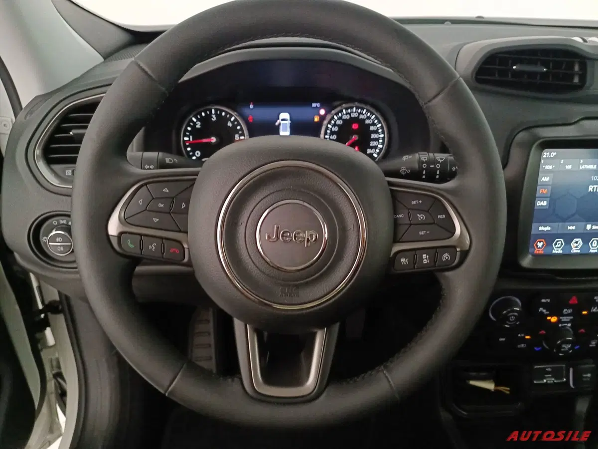 Jeep Renegade usata a Treviso (11)