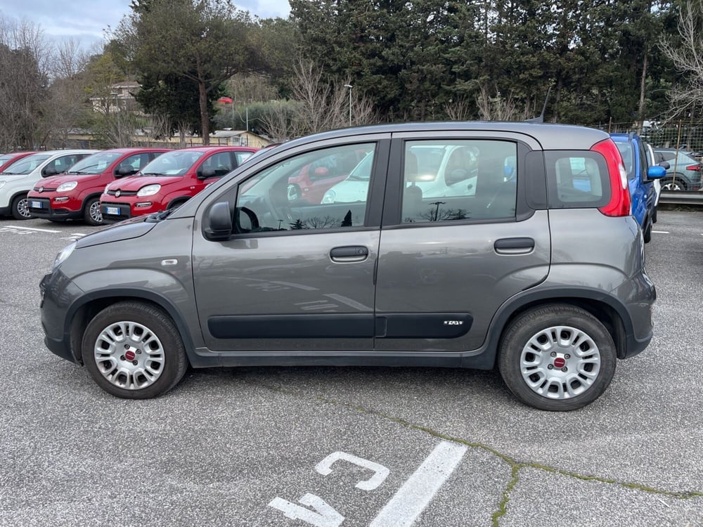 Fiat Panda usata a Roma (7)