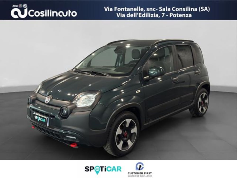 Fiat Panda Cross usata a Salerno