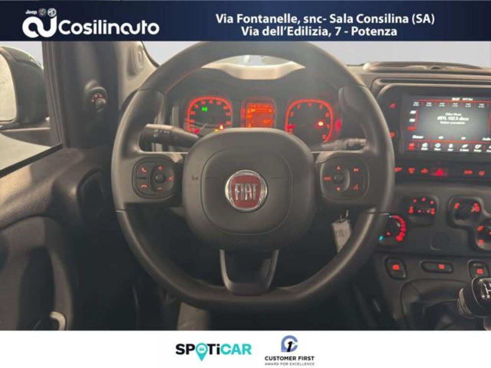 Fiat Panda Cross usata a Salerno (12)