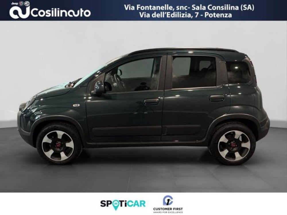 Fiat Panda Cross usata a Salerno (2)