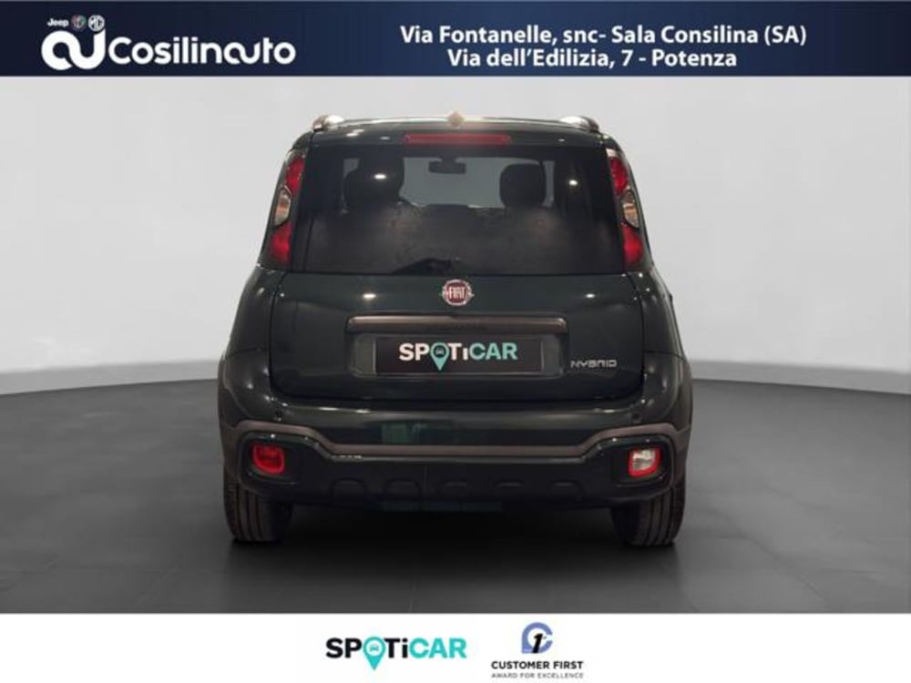 Fiat Panda Cross usata a Salerno (4)