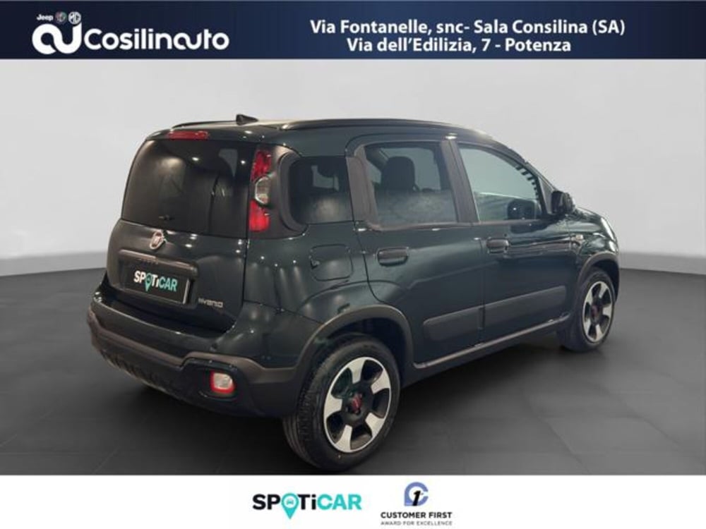 Fiat Panda Cross usata a Salerno (5)