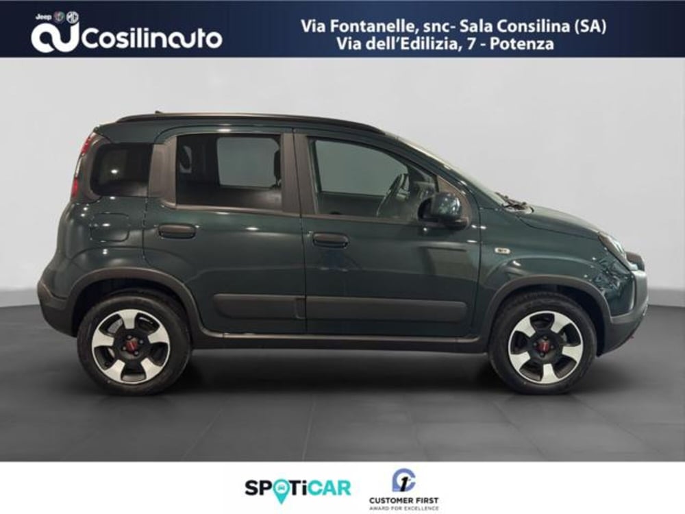 Fiat Panda Cross usata a Salerno (6)