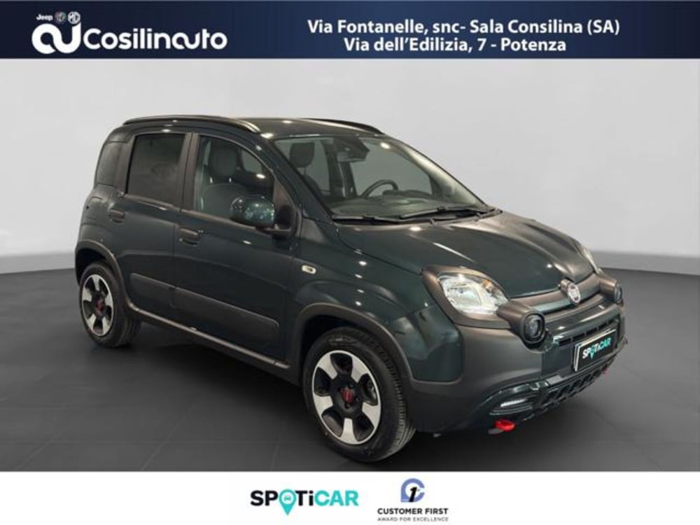 Fiat Panda Cross usata a Salerno (7)