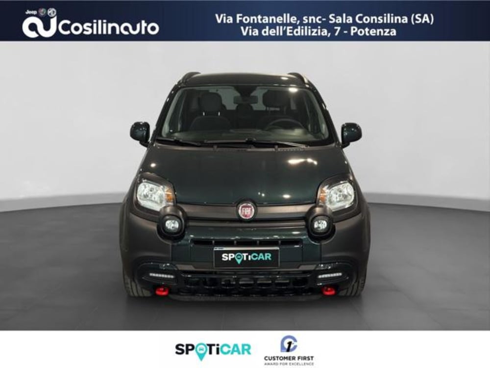 Fiat Panda Cross usata a Salerno (8)