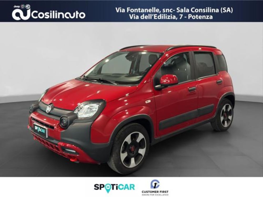 Fiat Panda Cross usata a Salerno