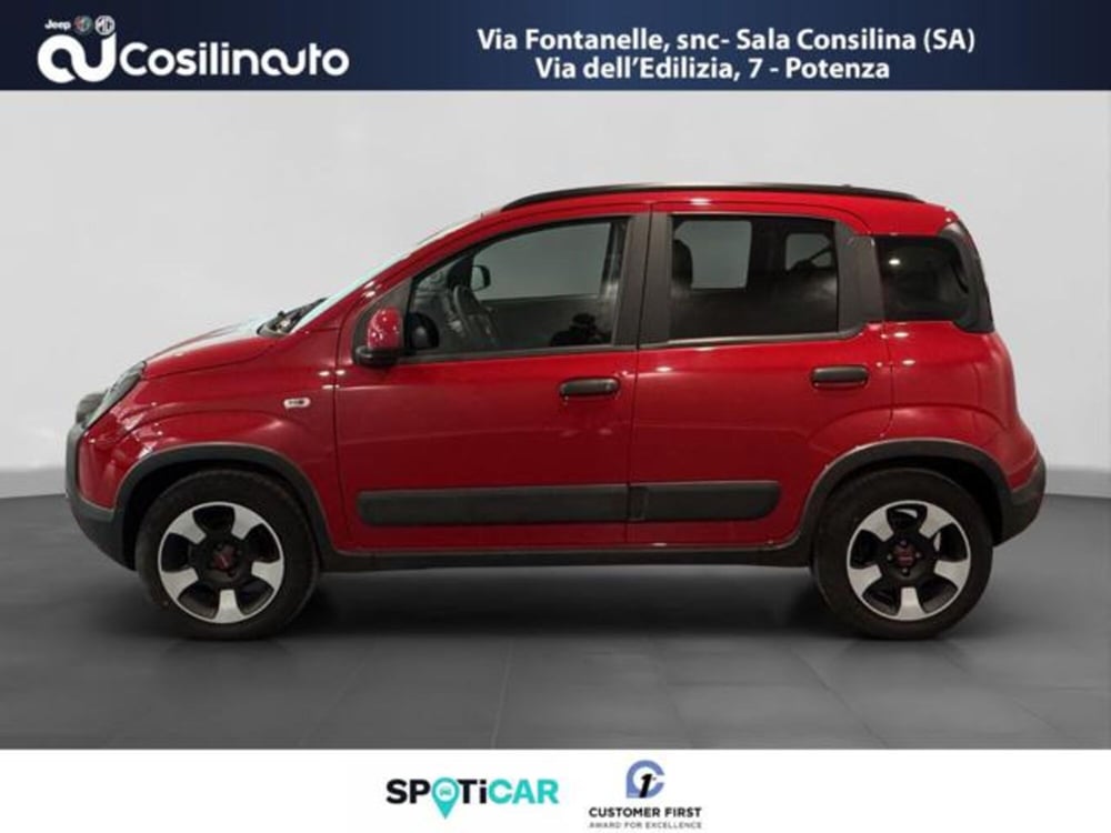 Fiat Panda Cross usata a Salerno (2)