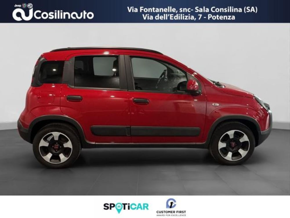 Fiat Panda Cross usata a Salerno (6)