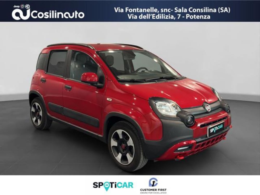 Fiat Panda Cross usata a Salerno (7)