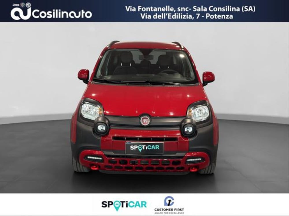 Fiat Panda Cross usata a Salerno (8)