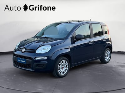 Fiat Panda 1.2 EasyPower Easy  del 2019 usata a Modena