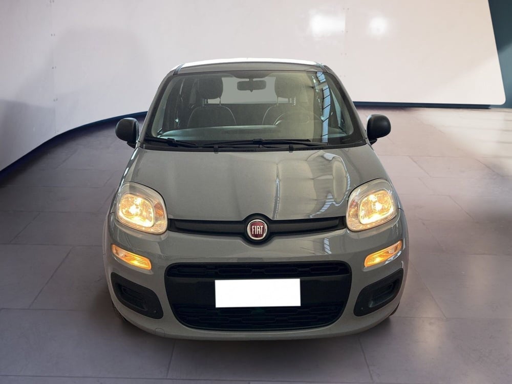 Fiat Panda usata a Torino