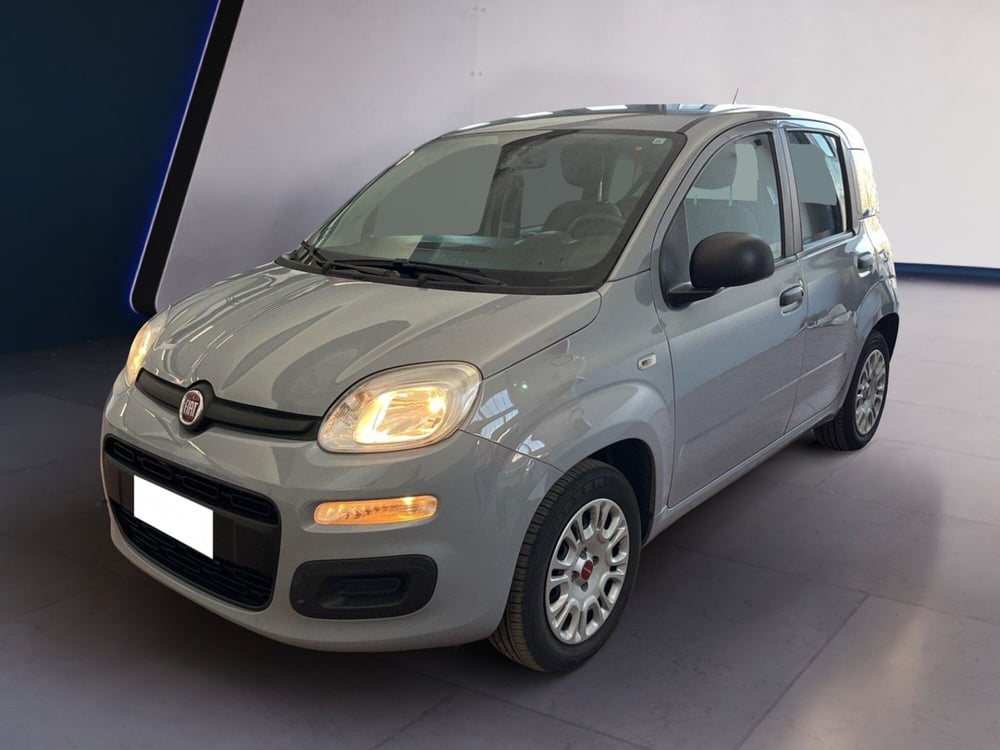 Fiat Panda usata a Torino (2)