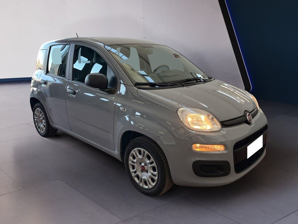 Fiat Panda usata a Torino (3)