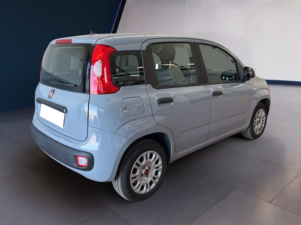 Fiat Panda usata a Torino (4)