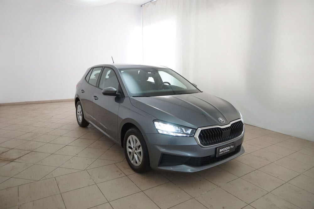 Skoda Fabia usata a Torino (20)