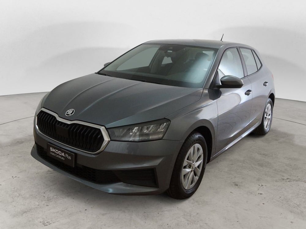 Skoda Fabia usata a Torino (3)