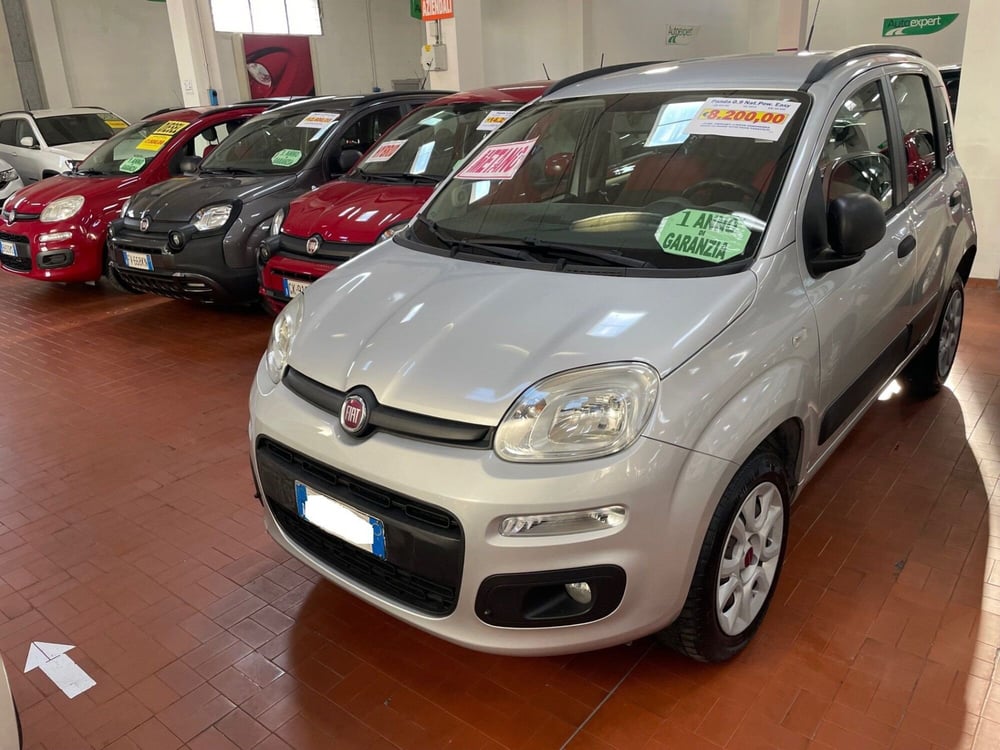 Fiat Panda usata a Lucca