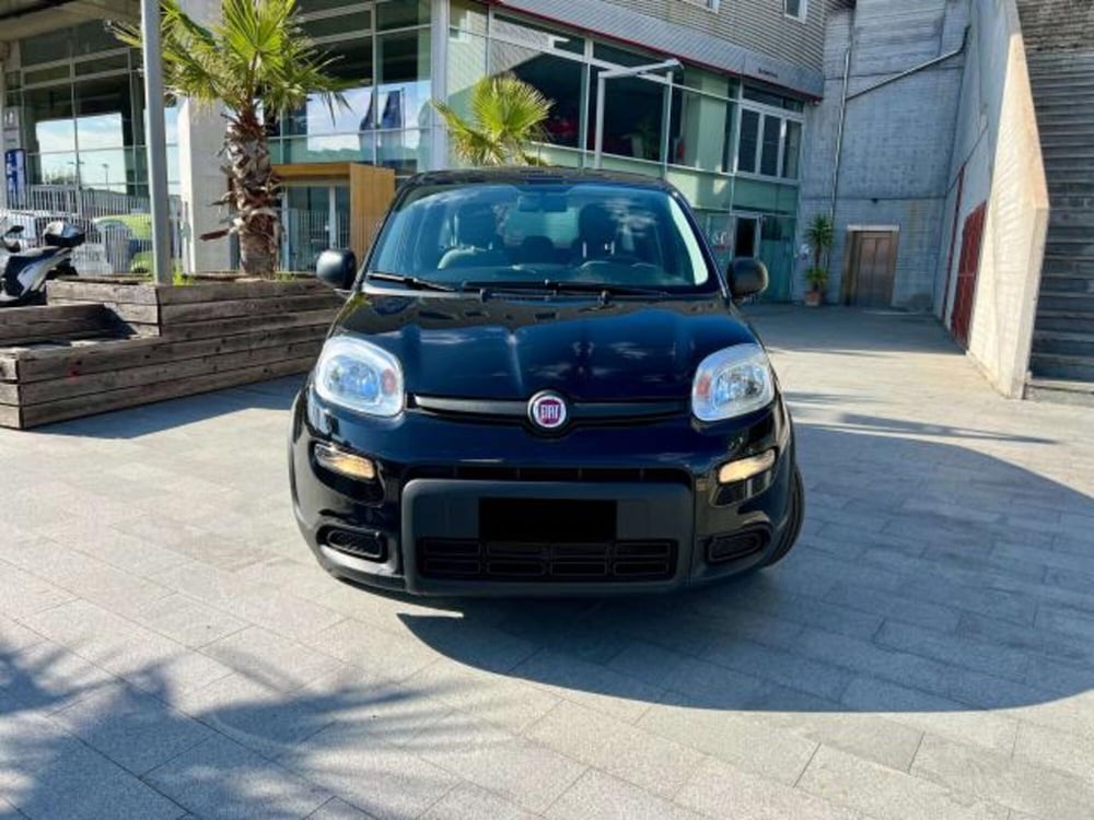 Fiat Panda usata a Savona (2)