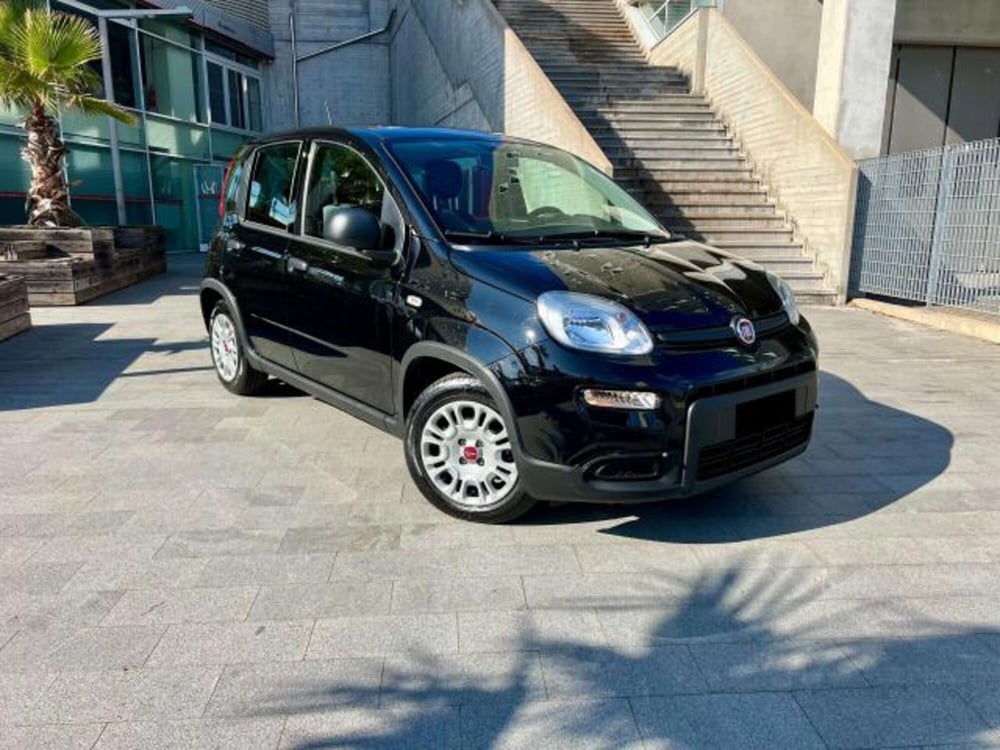 Fiat Panda usata a Savona (3)