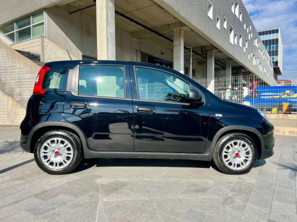 Fiat Panda usata a Savona (4)