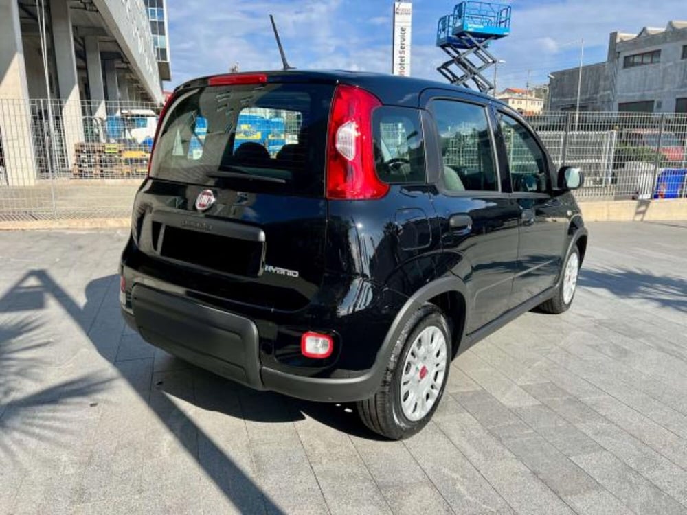 Fiat Panda usata a Savona (5)